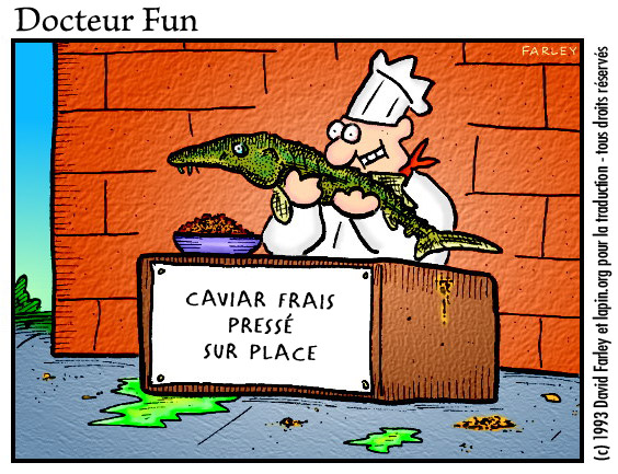 du caviar frais