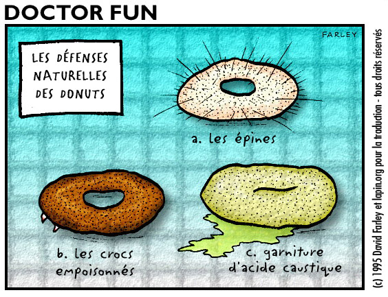 les défenses des donuts