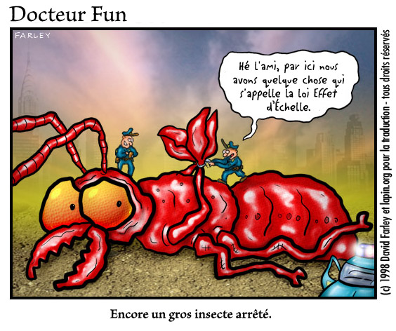 Gros insecte